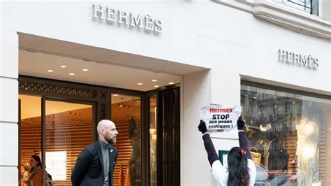 campagna peta hermes|PETA Causes a Stink in the Hermès Rue de Sèvres Boutique.